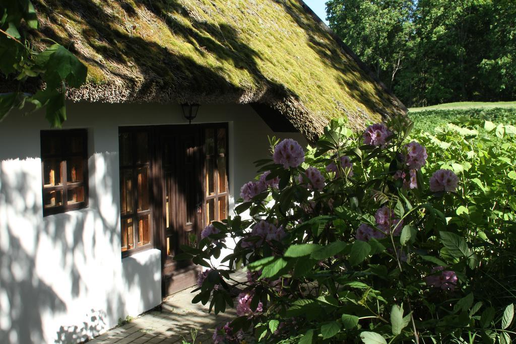 Villa Denderi Rubene Zimmer foto